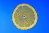 Slice of a lemon