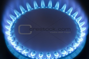Blue flames of a gas stove