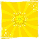 Summer yellow floral background