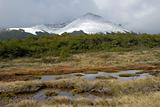 Landscape of Tierra Del Fuego near Ushuaia. Argentina.