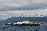 Two ships in the Beagle Channel