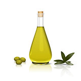 bottle of olive oil and a branch