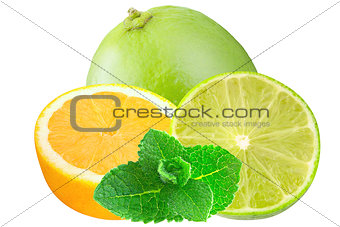 Sliced lemon and limes with mint iisolated on white background