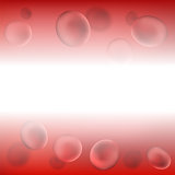 Red Blood Background