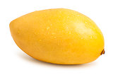 Mango fruit isolated
