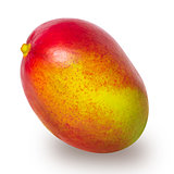 Red mango fruit isolated