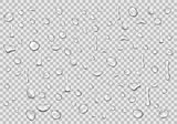 Water drops transparent background. Clean drop condensation. Realistic water background vector illustration
