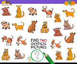 find two identical pictures game with dogs