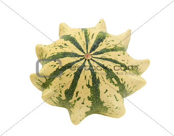 Cream and green striped ornamental gourd, Crown of Thorns
