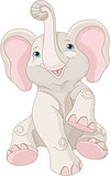 Baby Elephant 