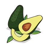 Isolate ripe avocado fruit