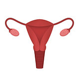 Female reproductive system, uterus, ovary icon, flat style. Internal organs of the human design element, logo. Anatomy, medicine, gynecology concept. Healthcare. Isolated on white background. Vector.