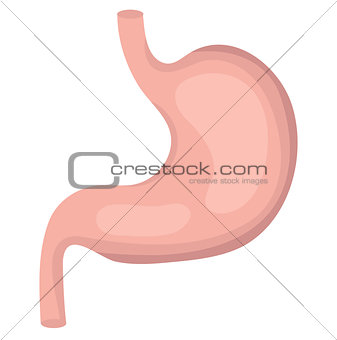 Stomach icon, flat style. Internal organs of the human design element, logo. Anatomy, medicine concept. Digestion. Digestive tract, system. Healthcare. Isolated on white background. Vector illustr.