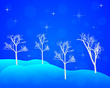winter trees in snowdrifts