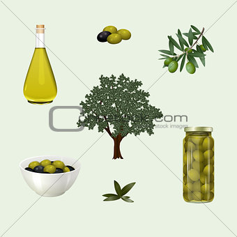 set: olive wood, oil, bowl, branch