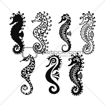 Seahorse collection, sketch for your design