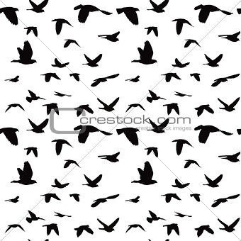 Flock of doves seamless pattern