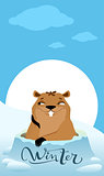 Groundhog Day. Marmot makes forecast winter