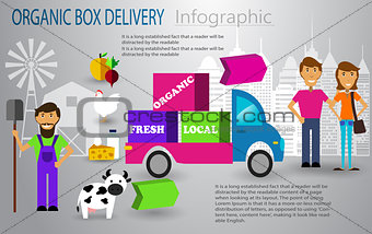 Organic food box delivery infographic concept