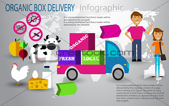 Organic food box delivery infographic concept