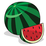 Isolate ripe watermelon fruit