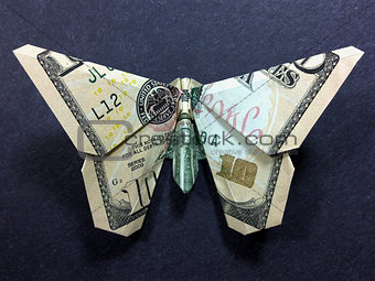 Money Origami $10 Butterfly Cash Dollar Art