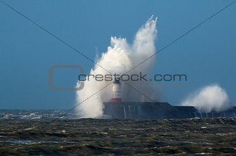 Wave and Gull Over Lighthouse
