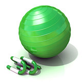 Green fitness ball and push-up bars