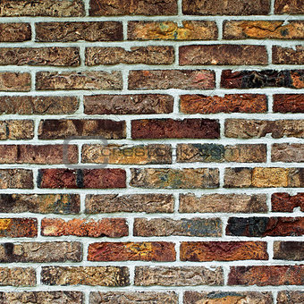 Multi Colored Bricks Background