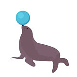 Sea lion with a ball, circus icon flat style, isolated on white background. Vector illustration.