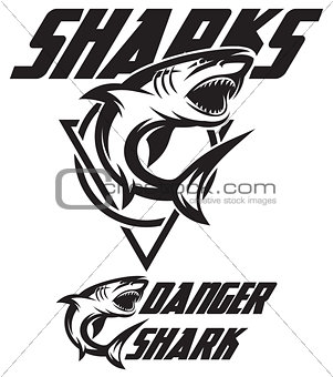 Monochrome vector illustration of a toothy shark