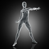 3D muscular female in standing pose
