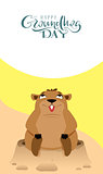 Happy Groundhog Day lettering text greeting card. Funny marmot sits and looks up