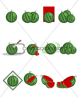 Twelve variants of watermelon