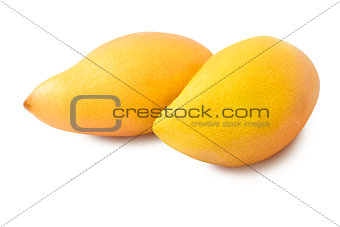 Mangos on white background