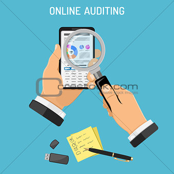 Online Auditing, Tax process, Accounting Concept