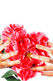 manicure pedicure people hands concept, woman fingers in shape of heart holding pink rose flowers