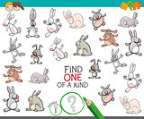 find one of a kind with rabbits animal characters