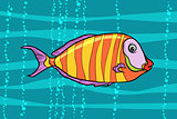 cichlid aquarium fish