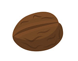 Walnut, nuts icon flat style. Isolated on white background. Vector illustration.