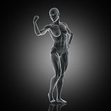3D muscular female flexing arm muscle