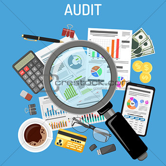 Auditing, Tax Process, Accounting Concept