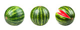 Watermelon set solated