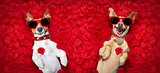 valentines couple of dogs   with  rose petals