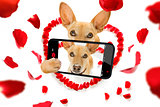 happy valentines dog selfie