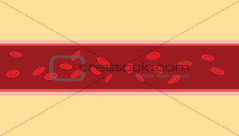 normal human blood vein cell stream flow with flat style
