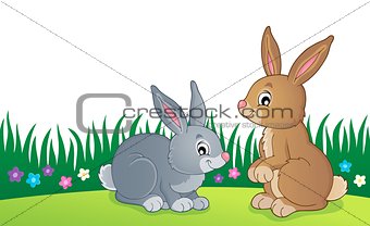 Rabbit topic image 6