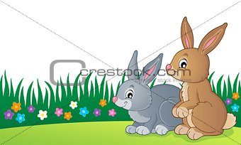 Rabbit topic image 7