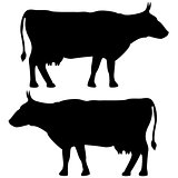 Cow icon black color set Flat illustration