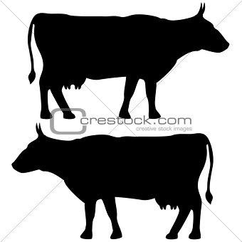 Cow icon black color set Flat illustration